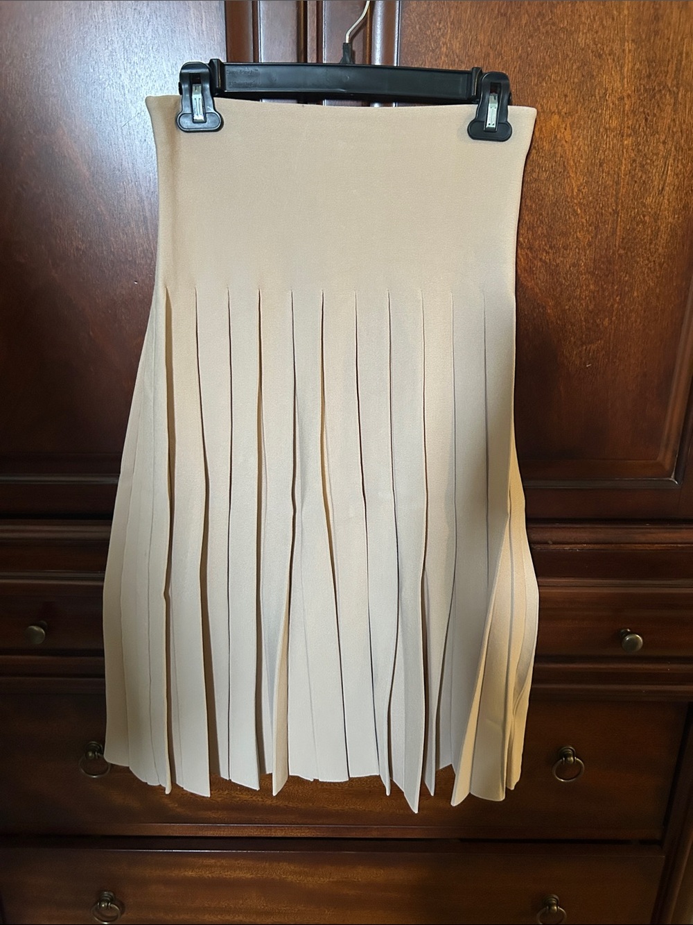 Aleeza Paris Pleated Skirt
